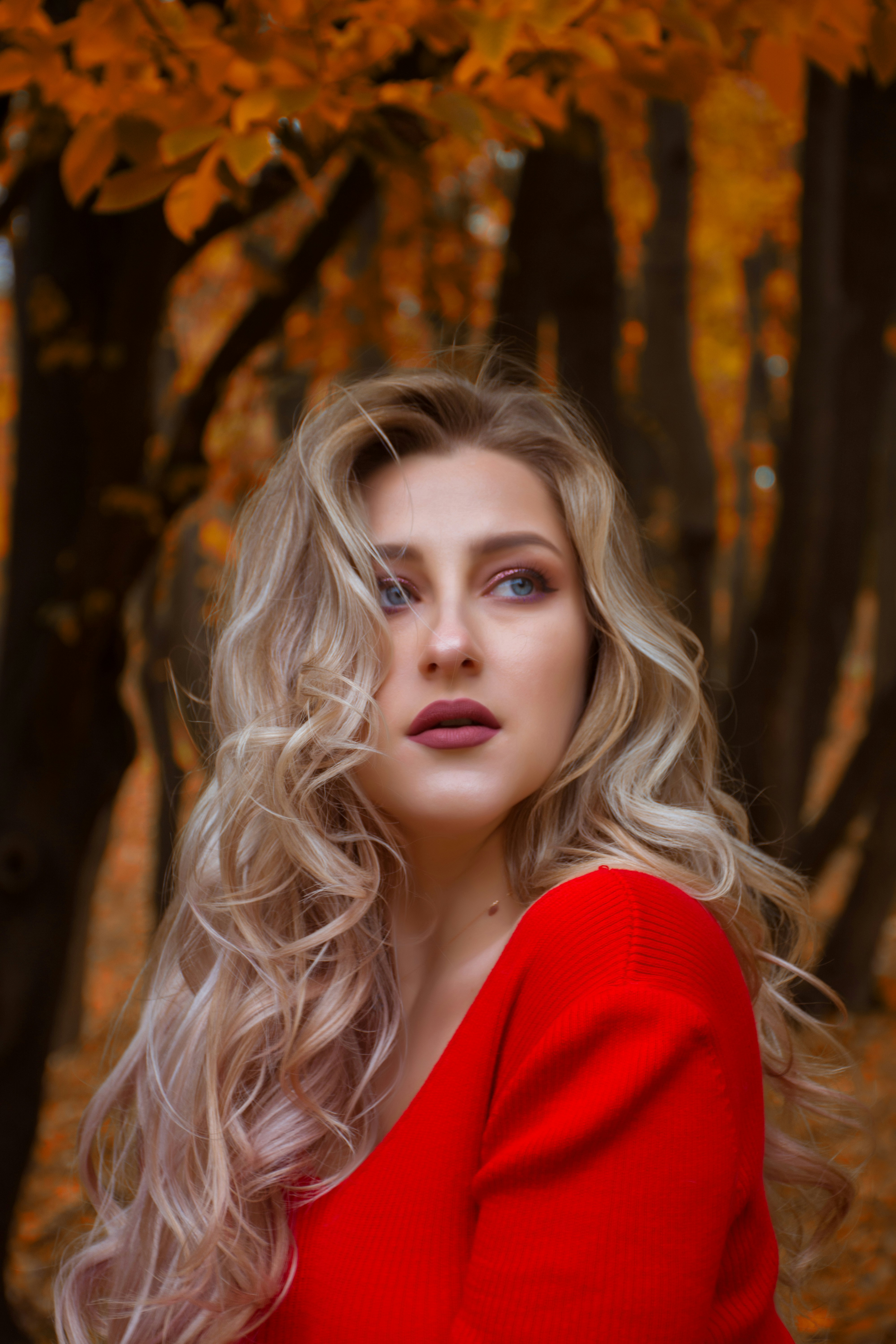 近期更新封面图